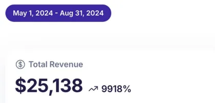 August 2024 revenue screenshot