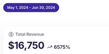 June 2024 revenue screenshot