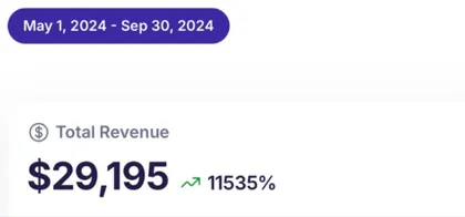 September 2024 revenue screenshot